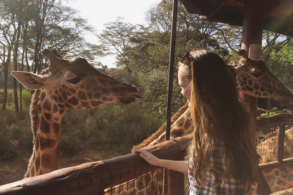 Животные не просто так живут на территории отеля — это питомник, созданный, чтобы сохранить жирафов Ротшильда. Это самый редкий вид, он находится под угрозой вымирания