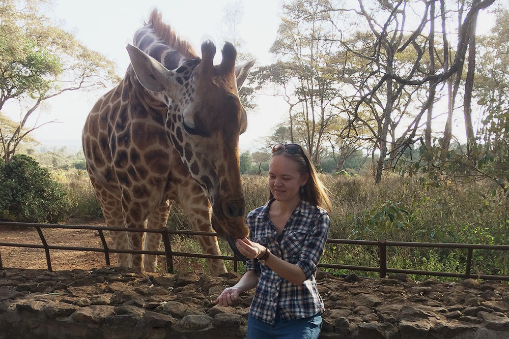 Жирафы с удовольствием общаются с посетителями. Их можно покормить, причем корм выдают бесплатно