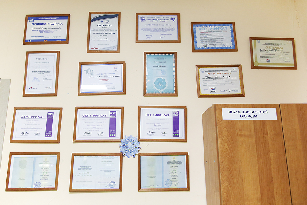 Стена с сертификатами о повышении квалификации — ветеринары постоянно учатся. Большинство клиентов на них не смотрят, но некоторые внимательно читают дипломы и расспрашивают врачей об их опыте