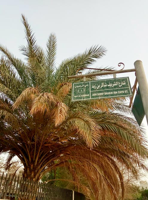 Уличные указатели — только на арабском