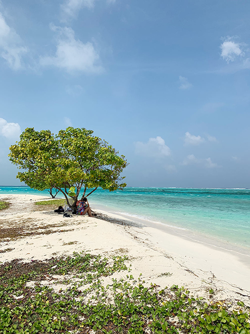 Пляж для местных жителей на острове Маафуши. По нему можно прогуляться в тишине и насладиться нетронутой природой и безлюдным океаном