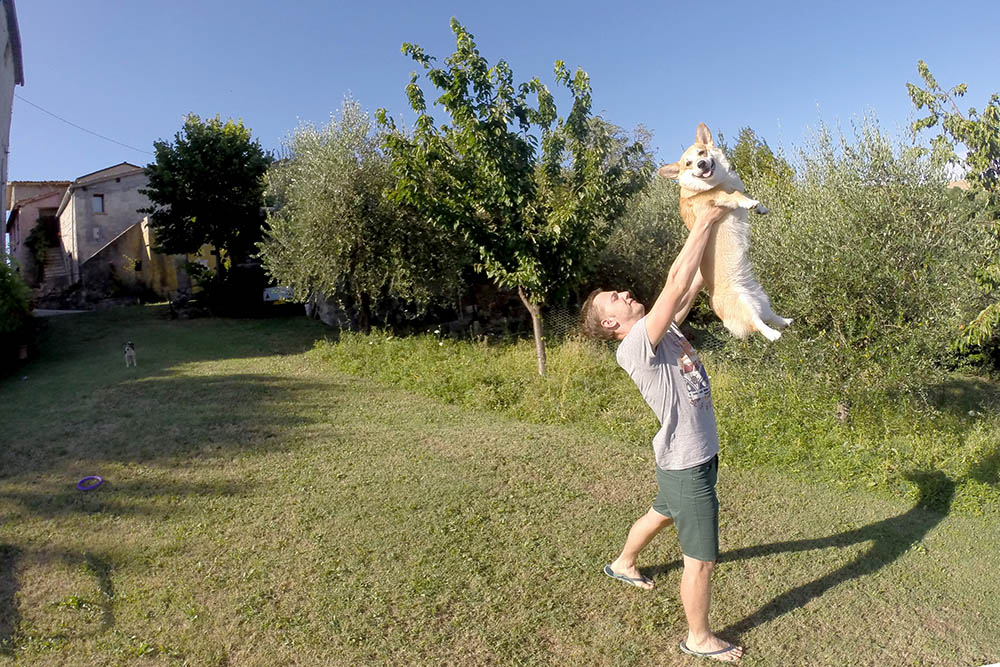Развлекаемся с собакой на лужайке арендованного дома в окрестностях Сан-Марино