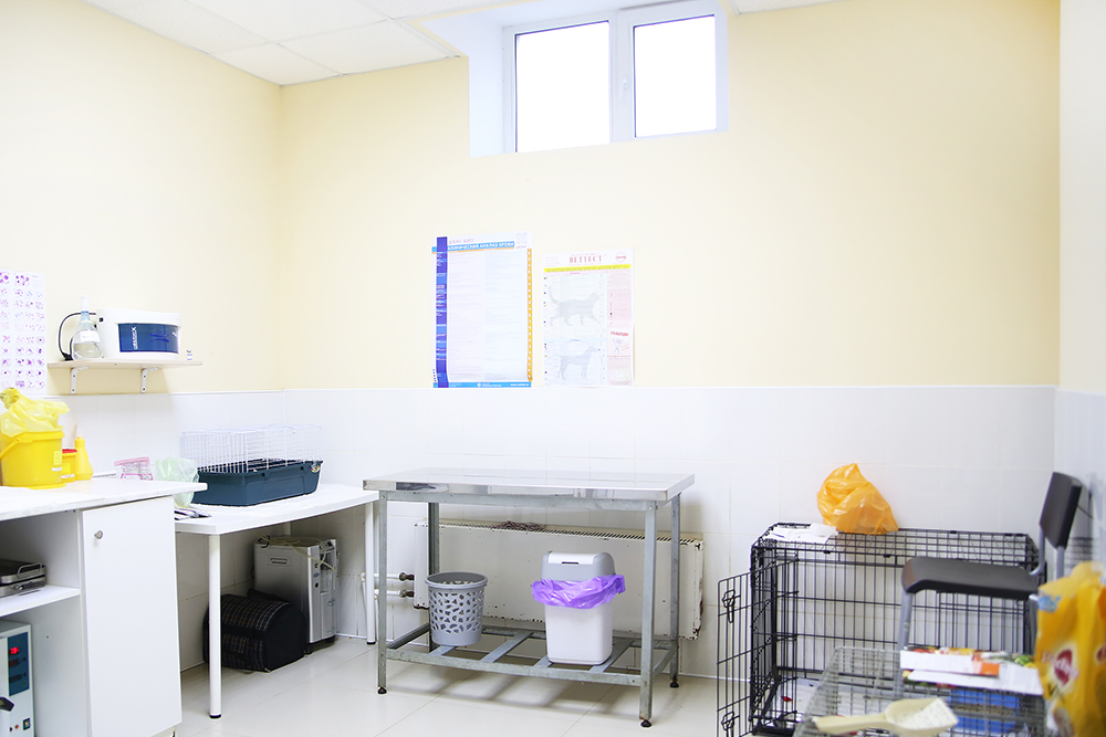 Послеоперационная комната — она же стационар: сюда приносят животных после операции и ухаживают за ними