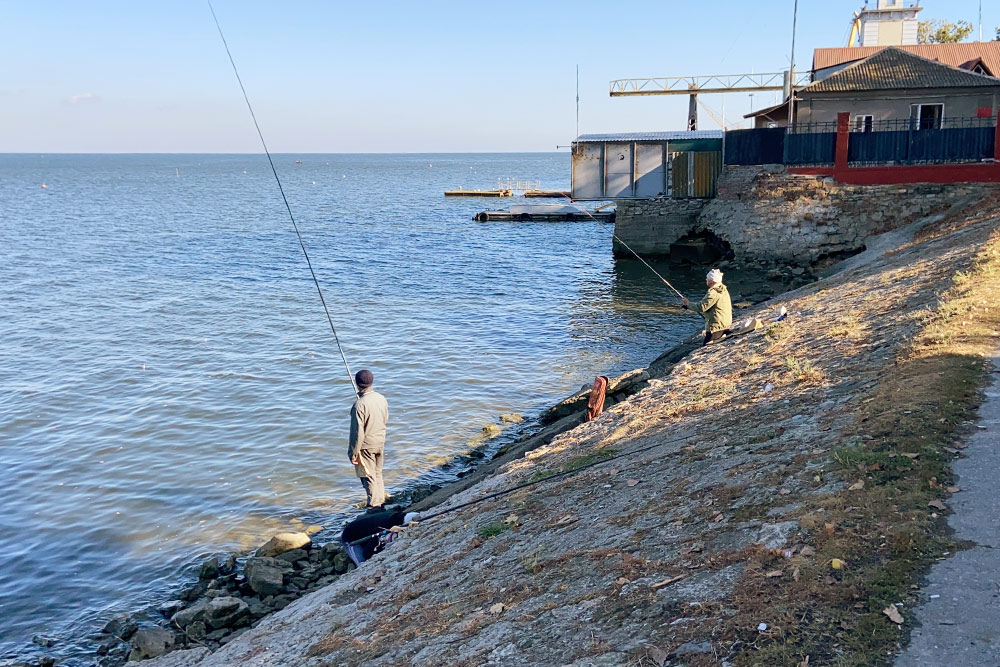 Пожилые люди часто рыбачат днем на набережной. В Таганрогском заливе обитают маленькие рыбки — бычки. Их ловят, чтобы пожарить с томатами или покормить кошку