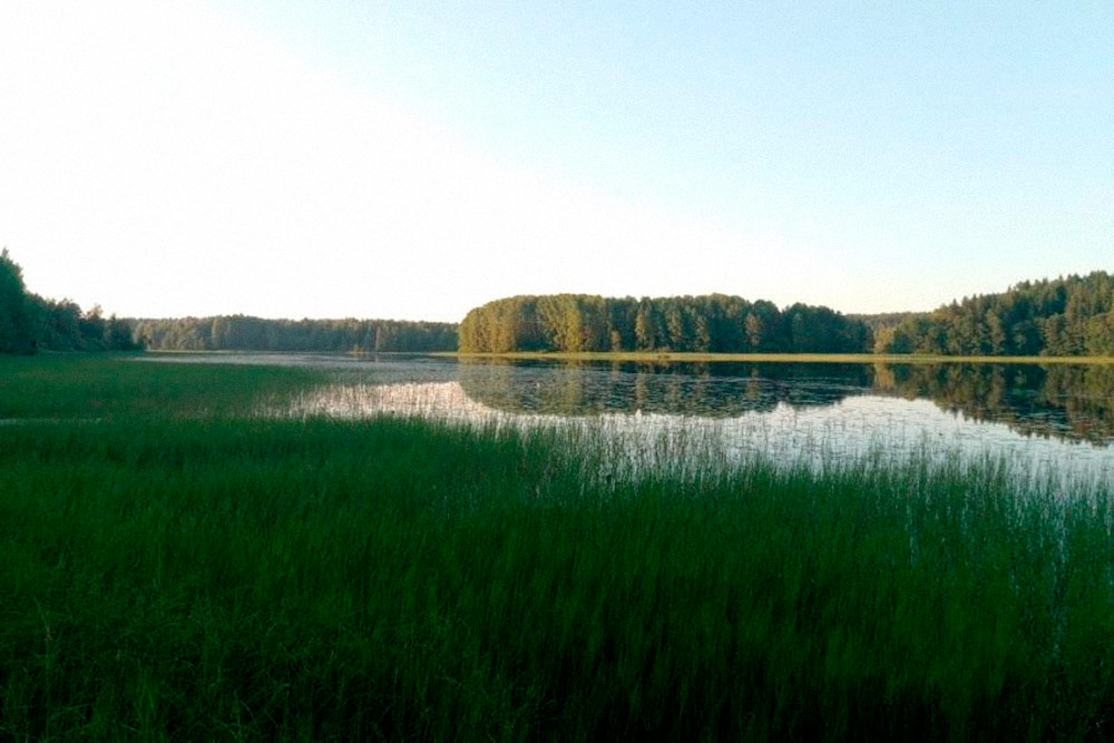 Это озеро летом. Берега зарастают травой — лодку спустить можно, а вот купаться все ходят на центральный пляж