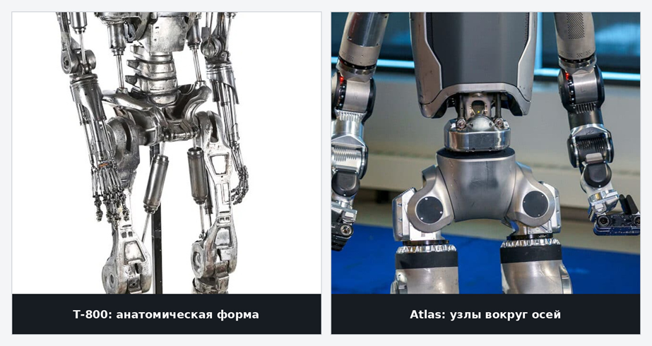 Таз T‑800 сохраняет форму костей; Atlas сохраняет функцию, но собирает степени свободы вокруг компактных осей. Источники: Propstore / Boston Dynamics.