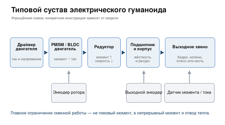 Упрощенная схема электрического сустава. Самые дорогие миллиметры конструкции заняты не только мотором, но и редуктором, подшипниками, датчиками, силовой электроникой и тепловым трактом. Источник: Схема автора