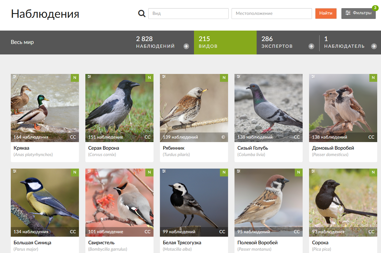 Моя панель мониторинга наблюдений птиц на сайте iNaturalist