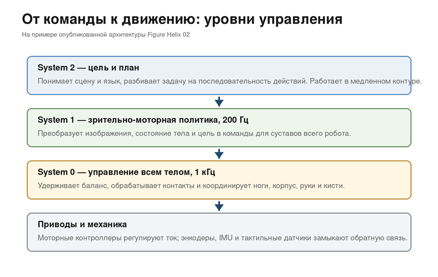 Даже в максимально «нейросетевой» архитектуре задача раскладывается по временны́м масштабам: рассуждать можно медленно, а удерживать баланс приходится тысячу раз в секунду. Источник: Figure AI: Helix 02