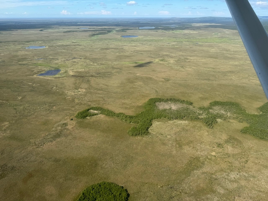 Не только пустыня Наска может похвастаться геоглифами. Мне привидилась черепашка или динозаврик.