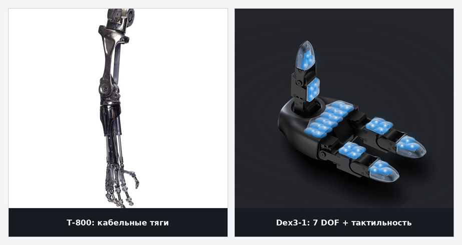 T‑800 использует пять пальцев и кабельные тяги; Dex3‑1 сокращает механику до трёх пальцев, семи активных DOF и тактильной обратной связи. Источники: Propstore / Unitree Dex3‑1.