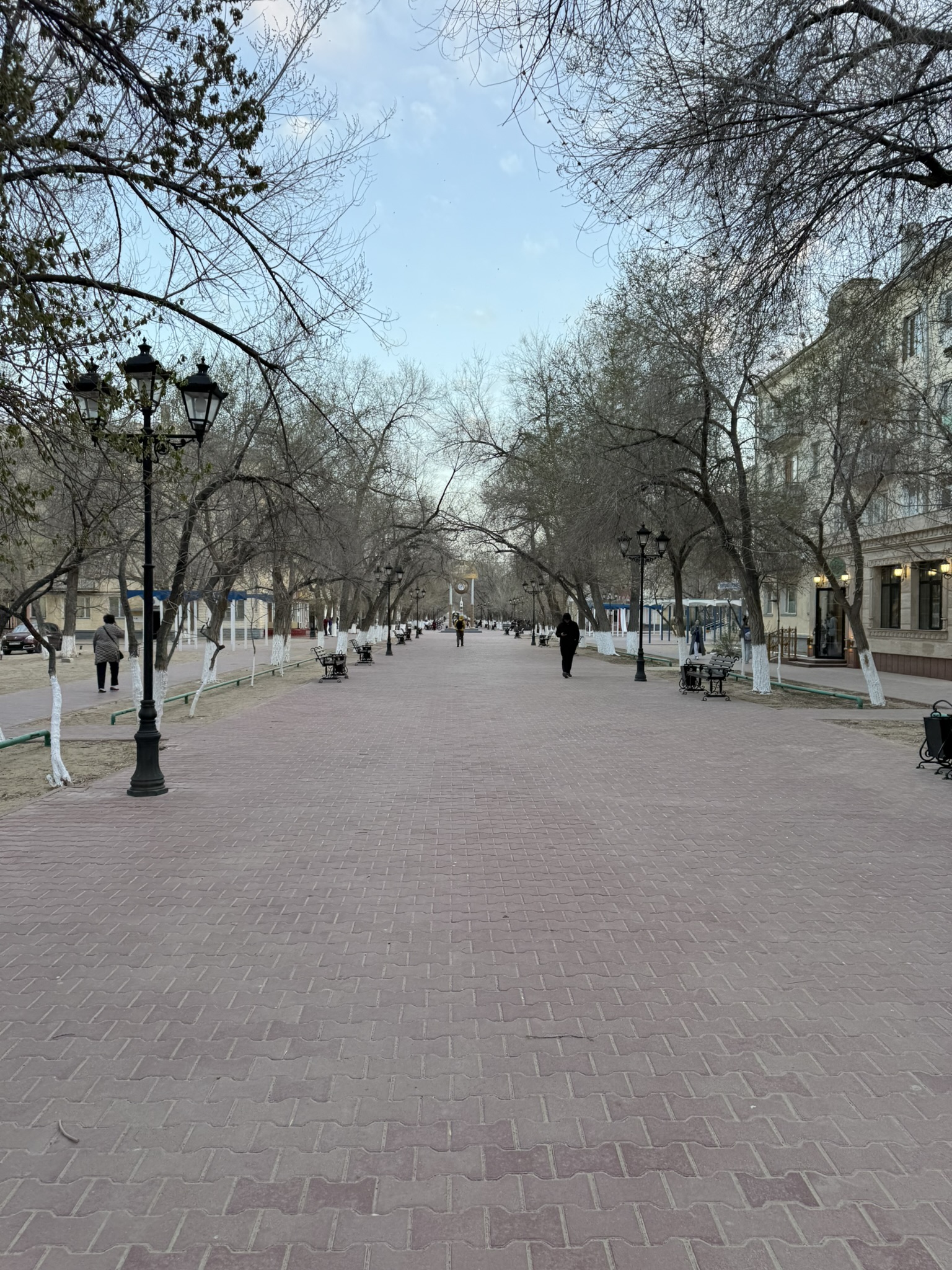 Центральная улица города