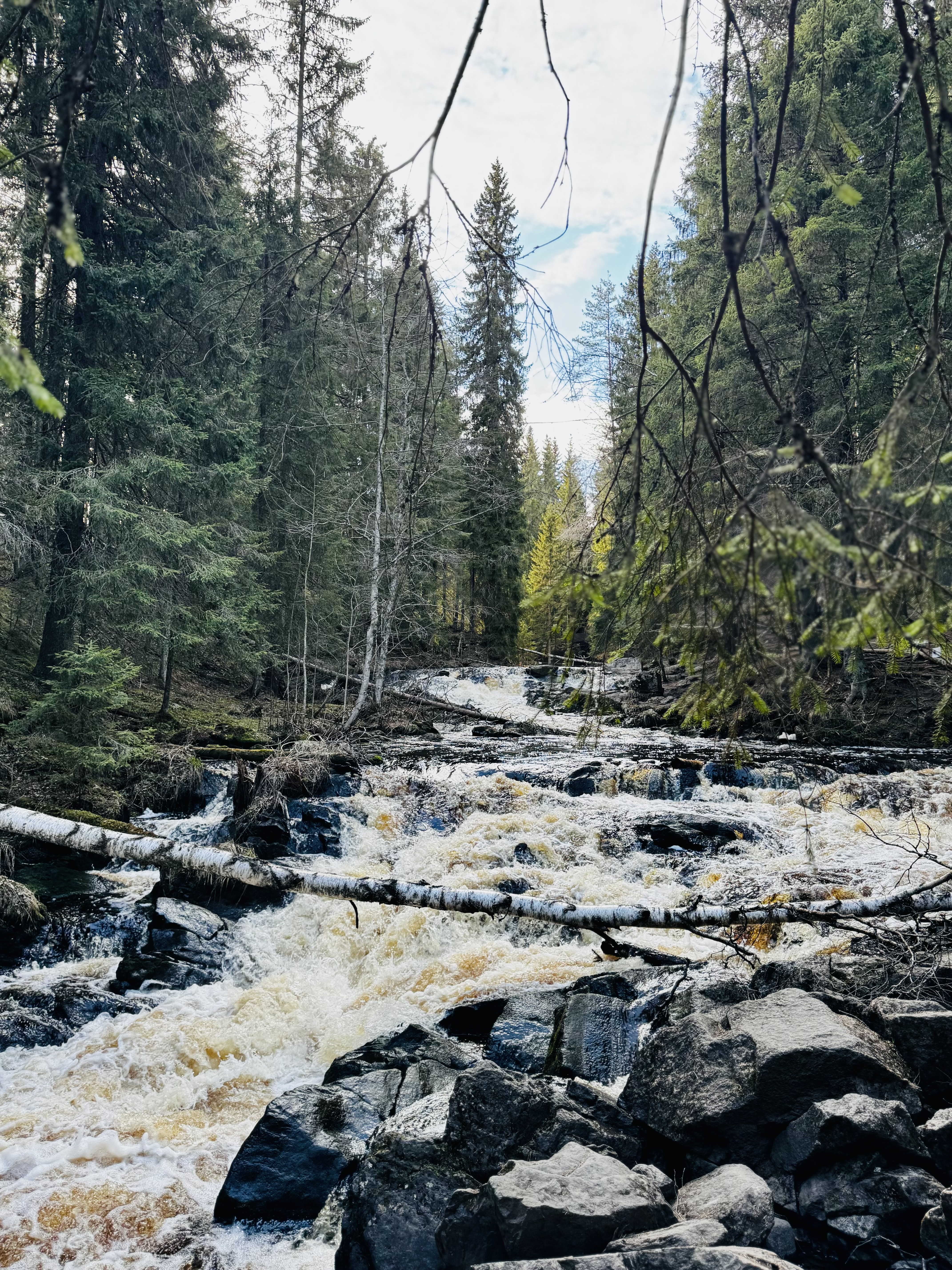 Дикая природа в парке Водопадов