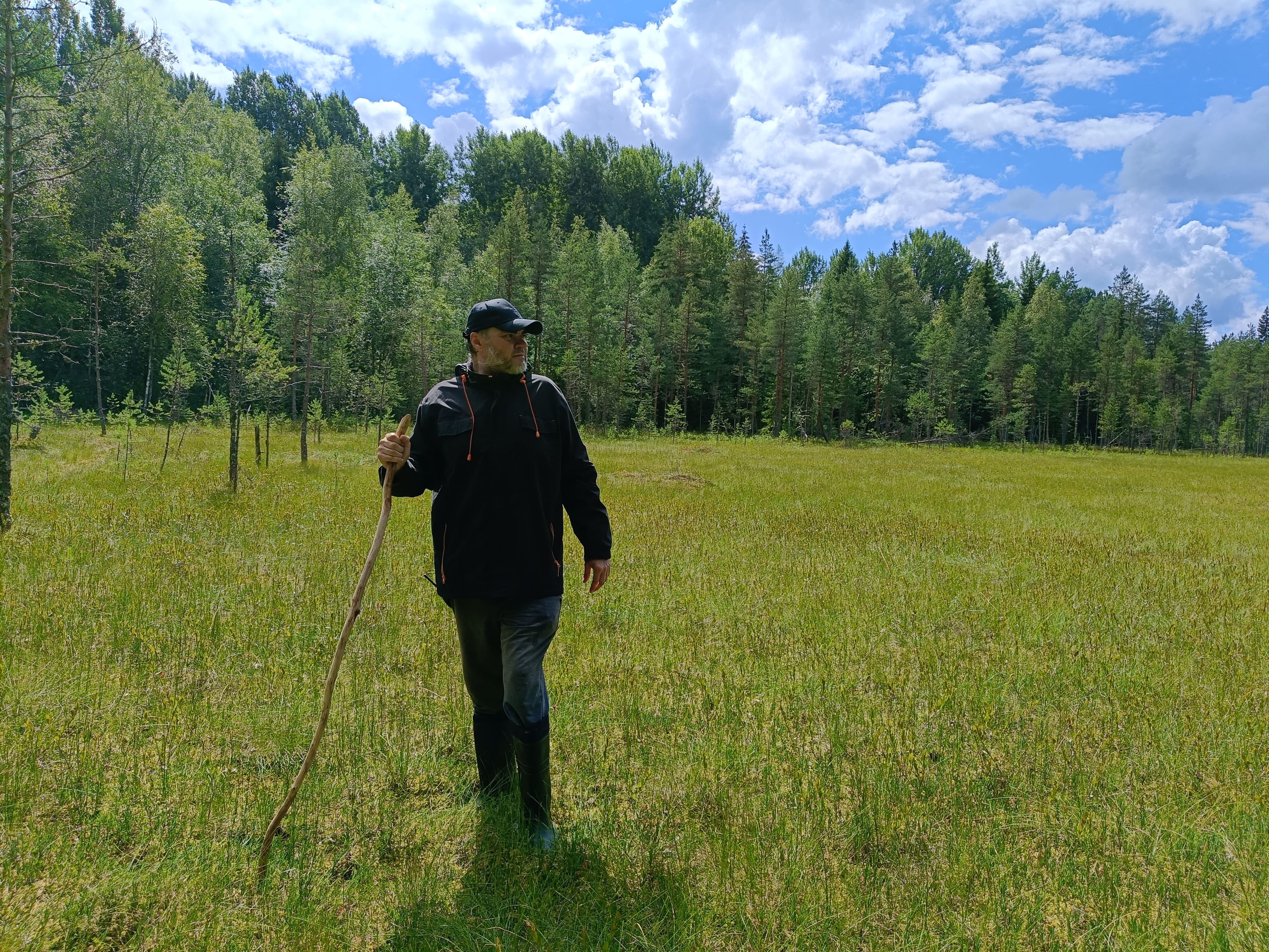 Лес, болото, тишина. Здесь я учусь не торопиться и не бояться ошибиться.