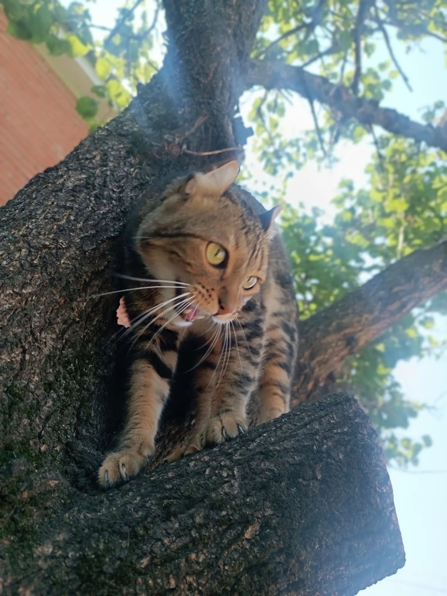 Охотник