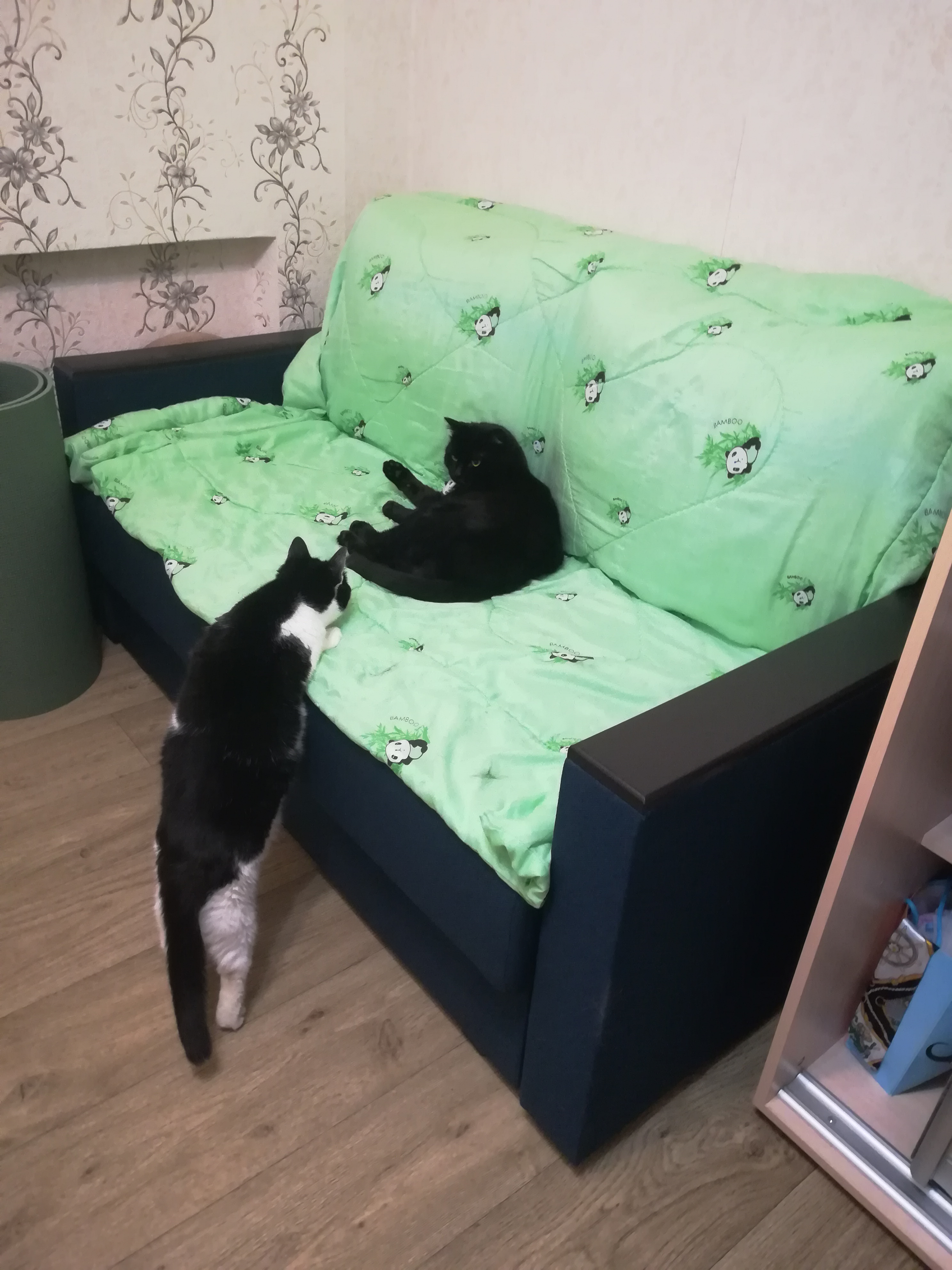 А что ты тут делаешь?