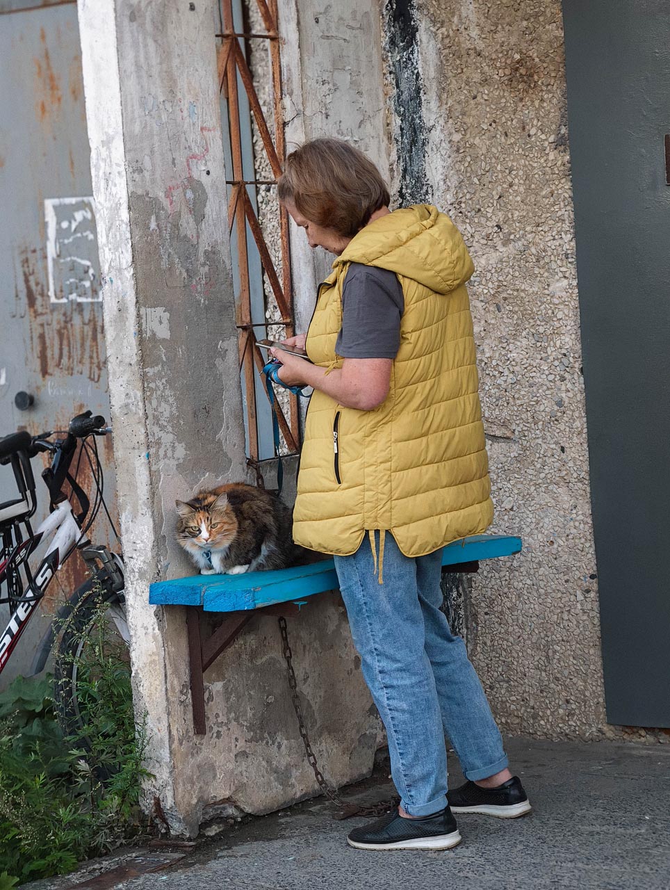 Карельские кошечки