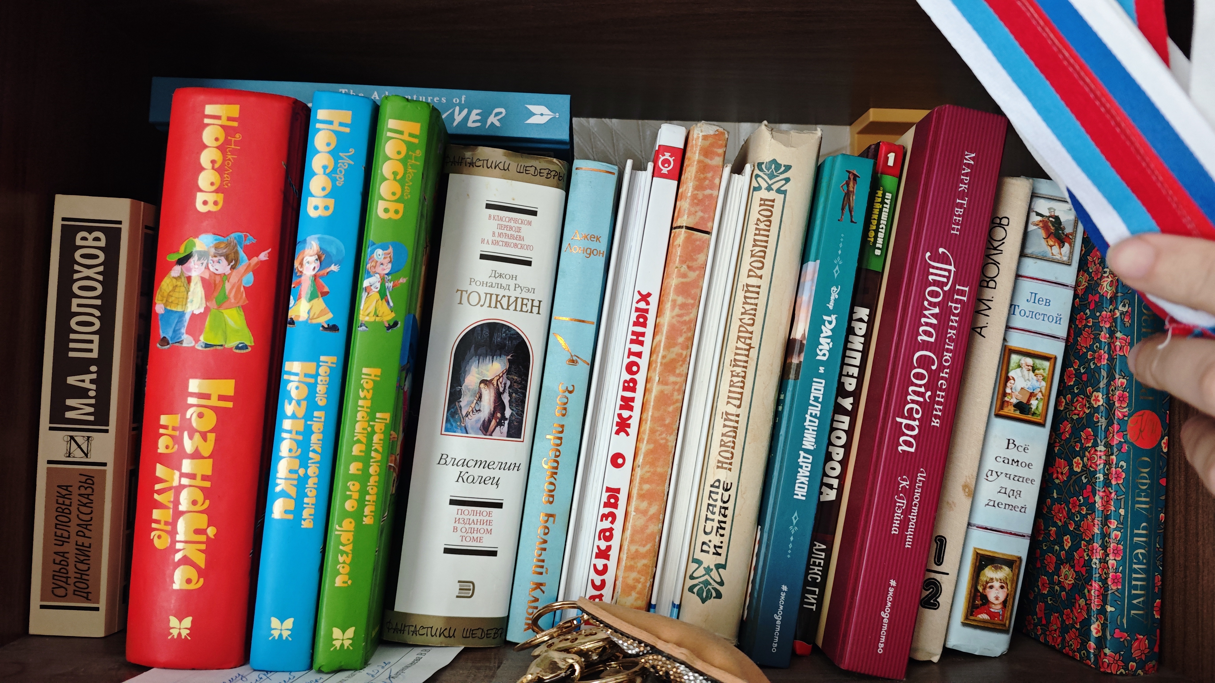 Книжная полка сына