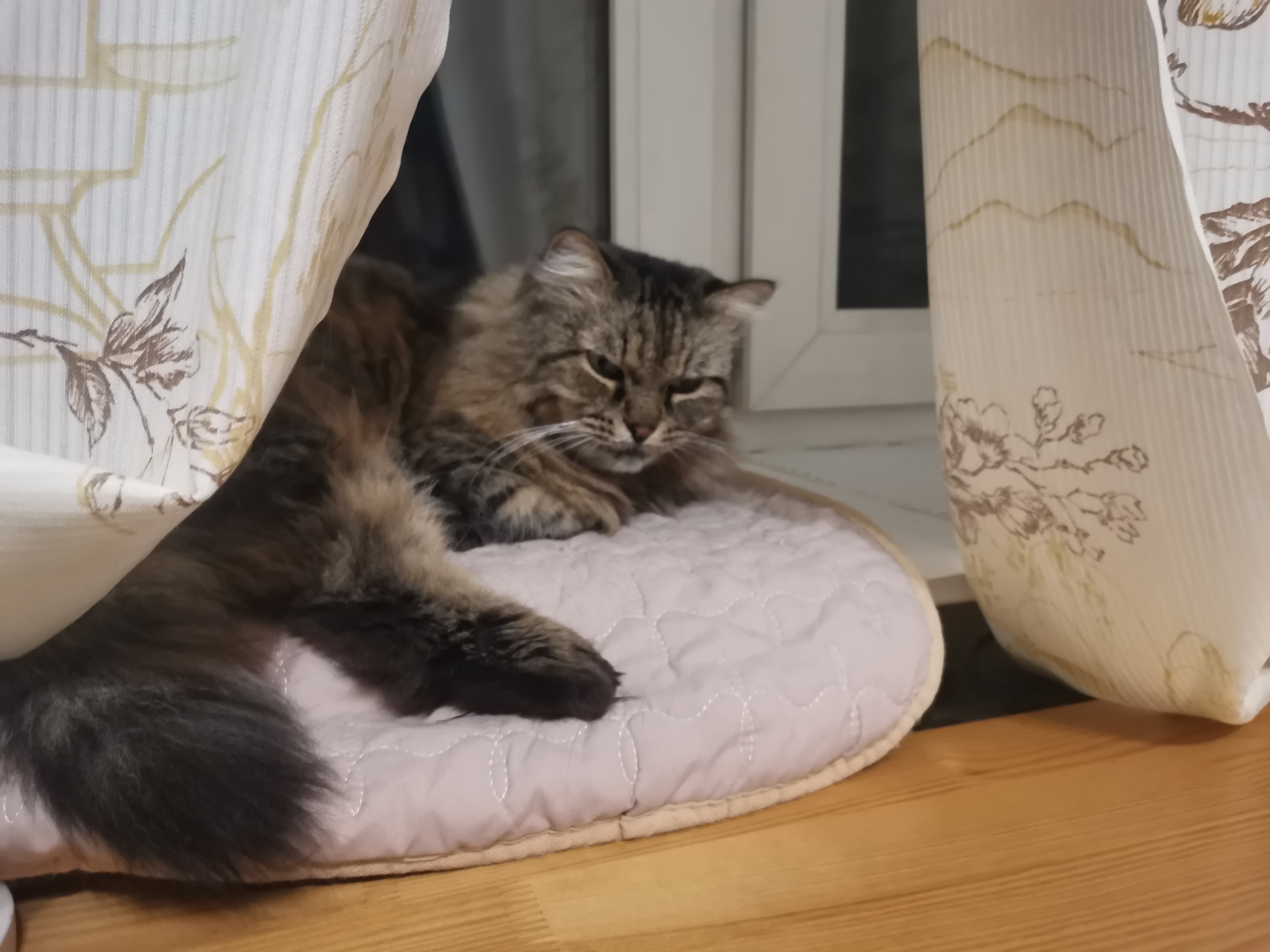 Красиво сидит, отдыхает после работы