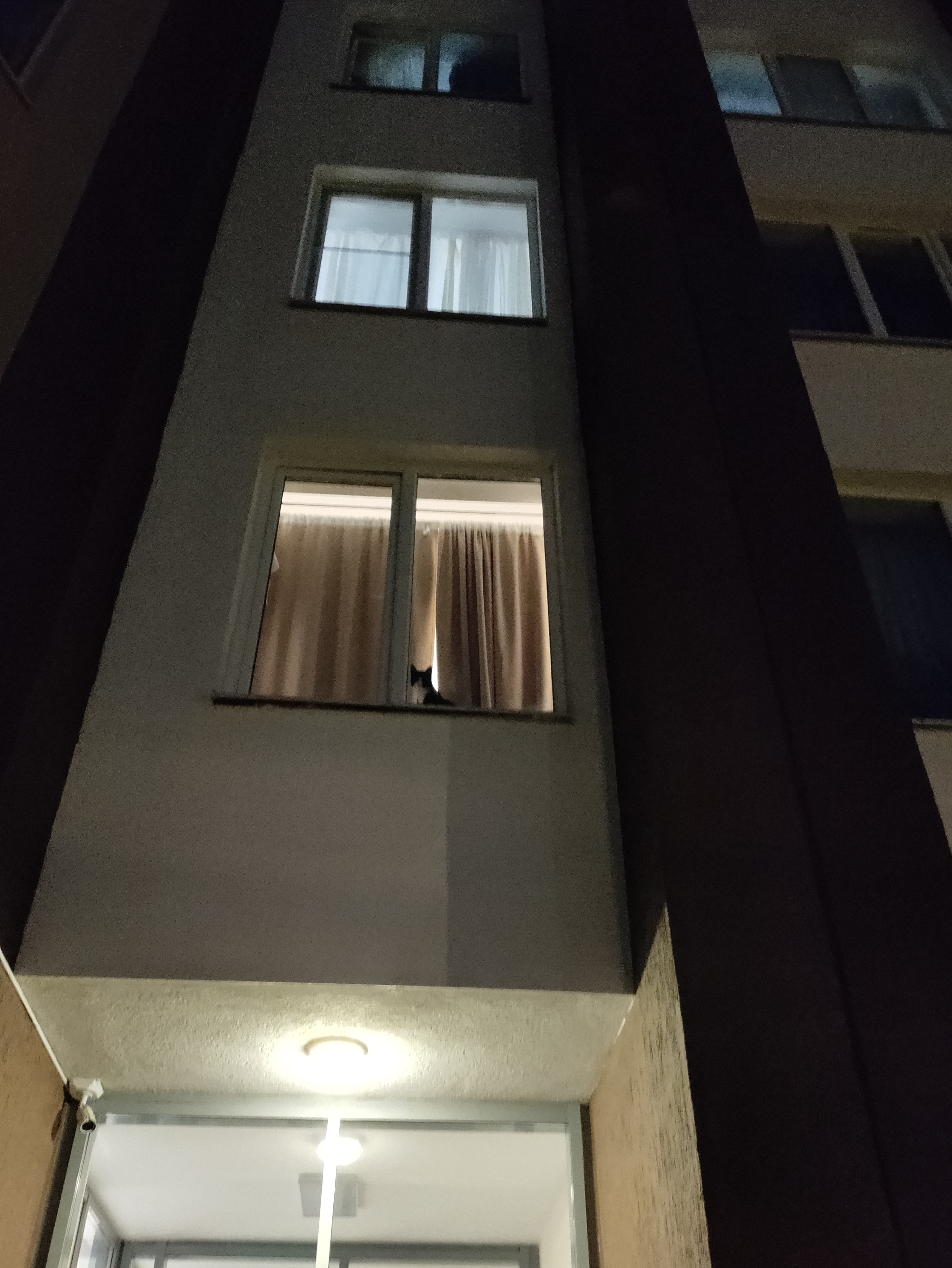 Фото сумка.