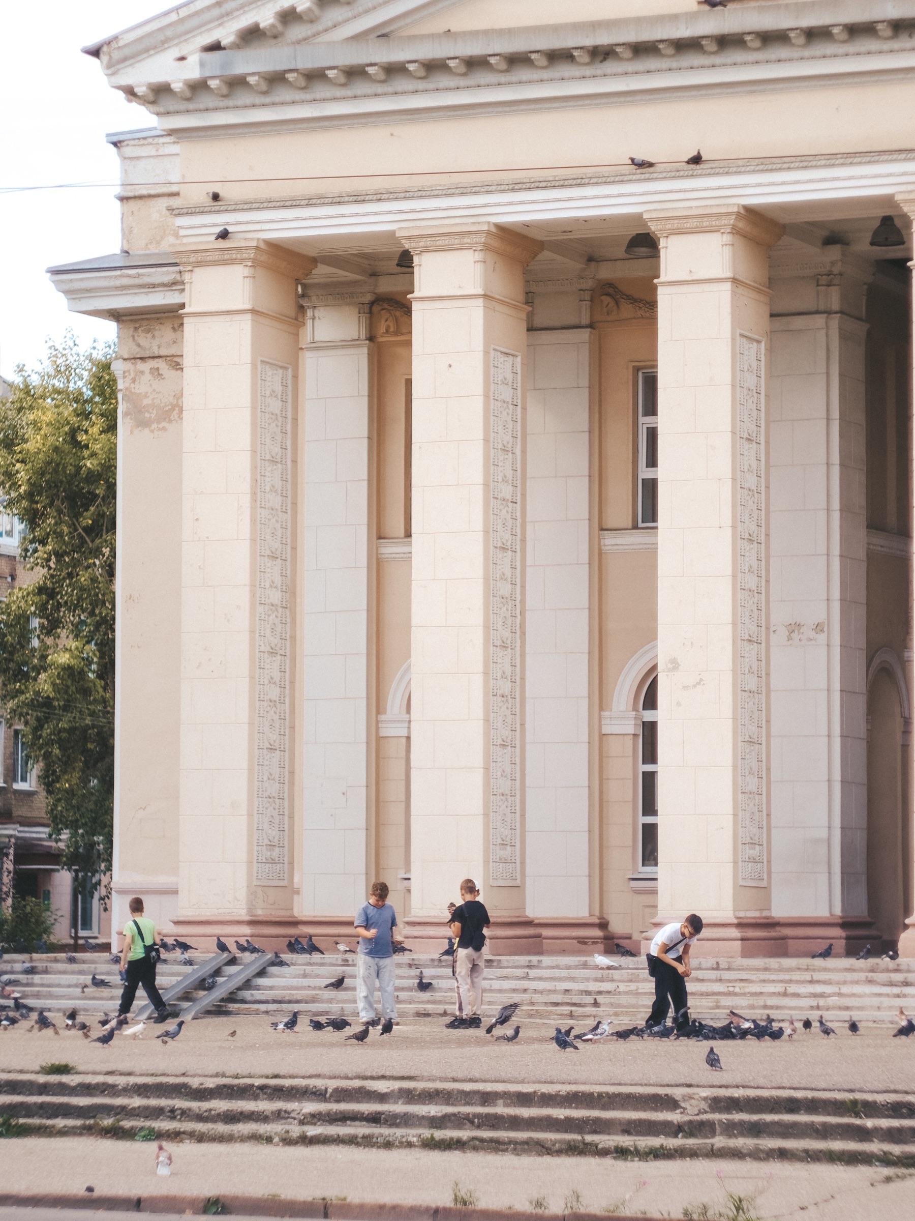 Дети кормят голубей