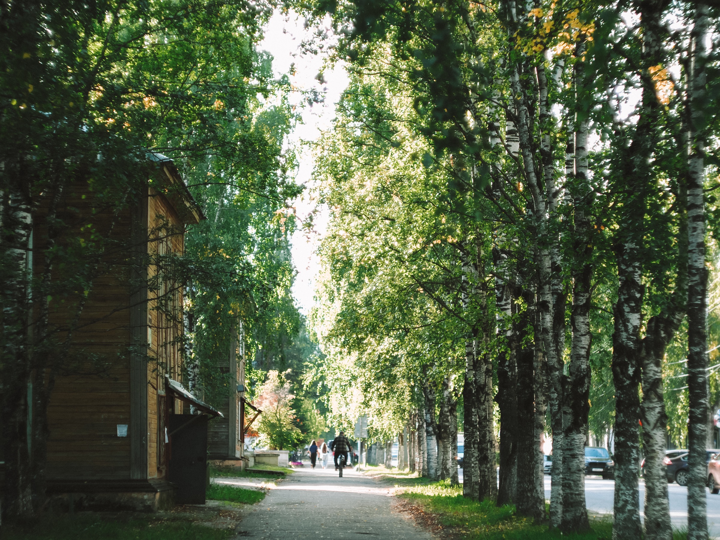 Аллея в Старом городе