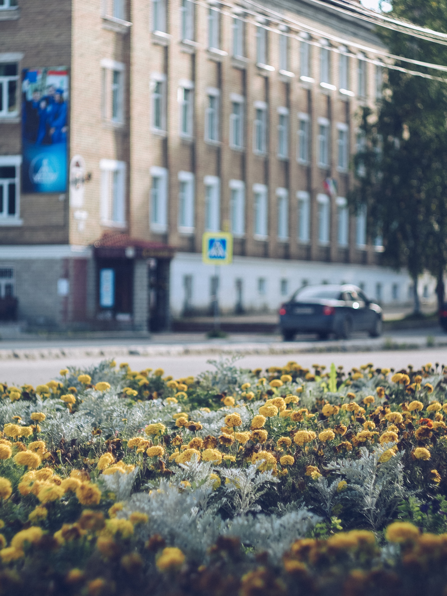 Возле главного корпуса университета