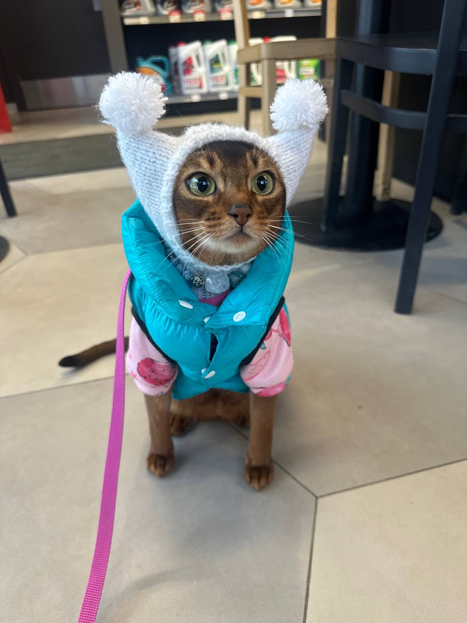 К зимней прогулке готова: я точно не замерзну😁