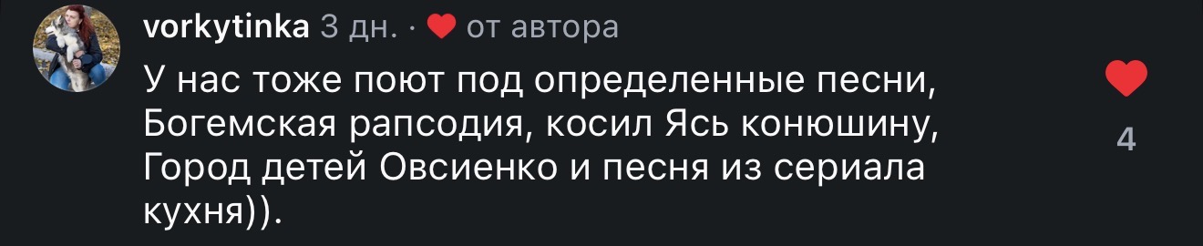 Здесь целая стая и у каждого своя любимая песня