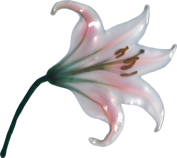 Лейбл заголовка