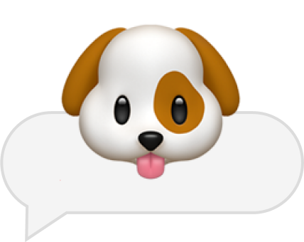 Как отучить собаку кидаться на других собак?