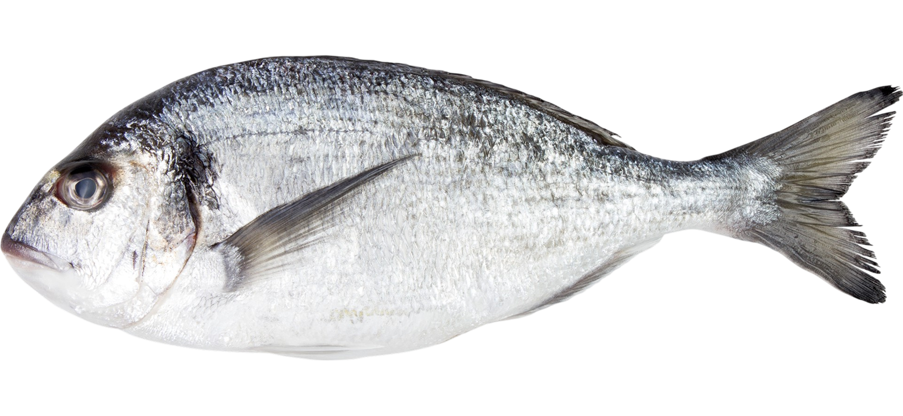 Дорадо: как покупать, готовить и с чем вкуснее есть