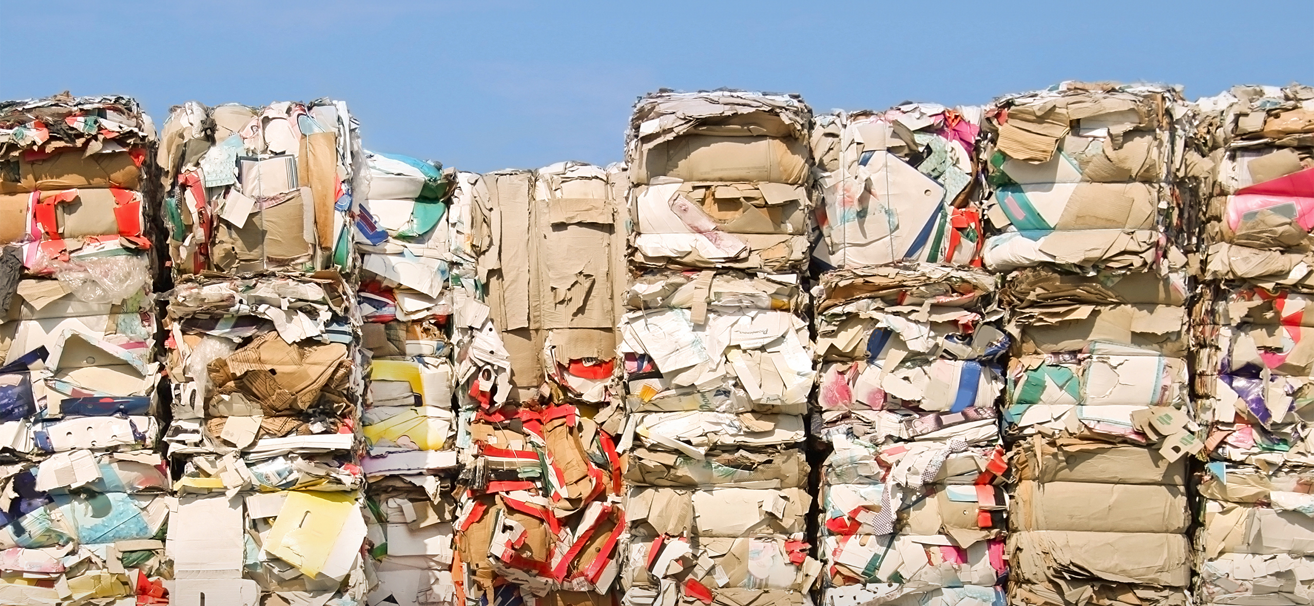 Шариковые ручки, тара для яиц и шах­маты: что делают из вторсырья в России