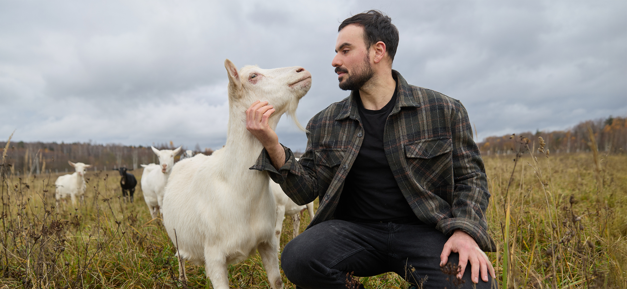 «Не оправдал ожида­ний родителей»: как я завел коз, делаю сыры и зарабатываю 320 000 ₽