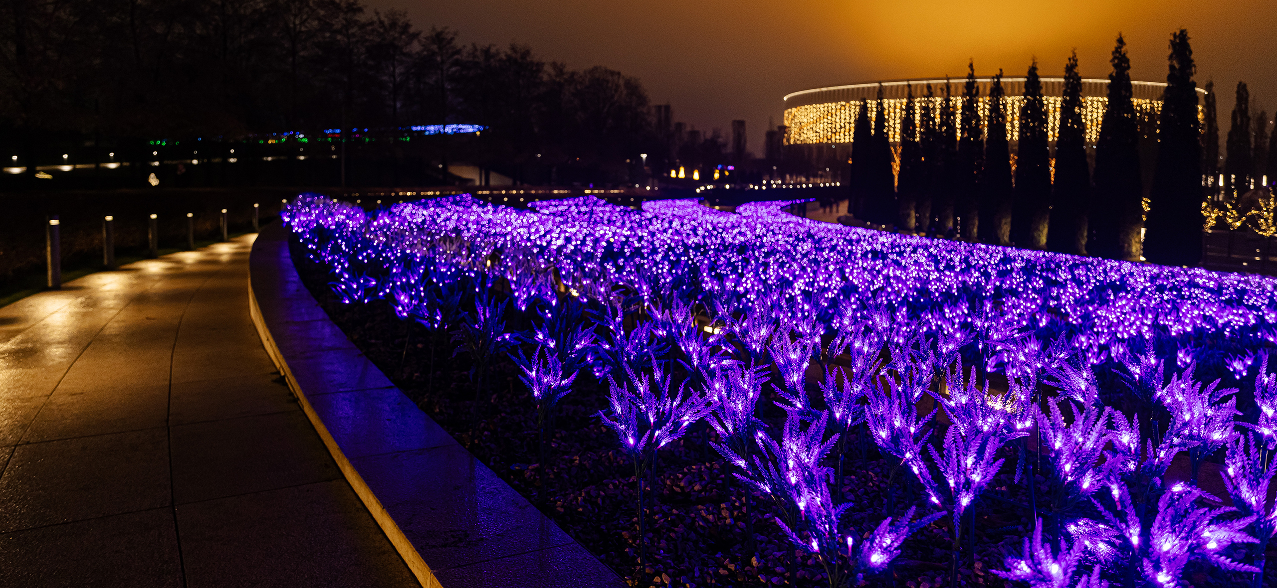 Поля неонового шалфея и цветы высотой с человека: как выглядит ново­годний Краснодар