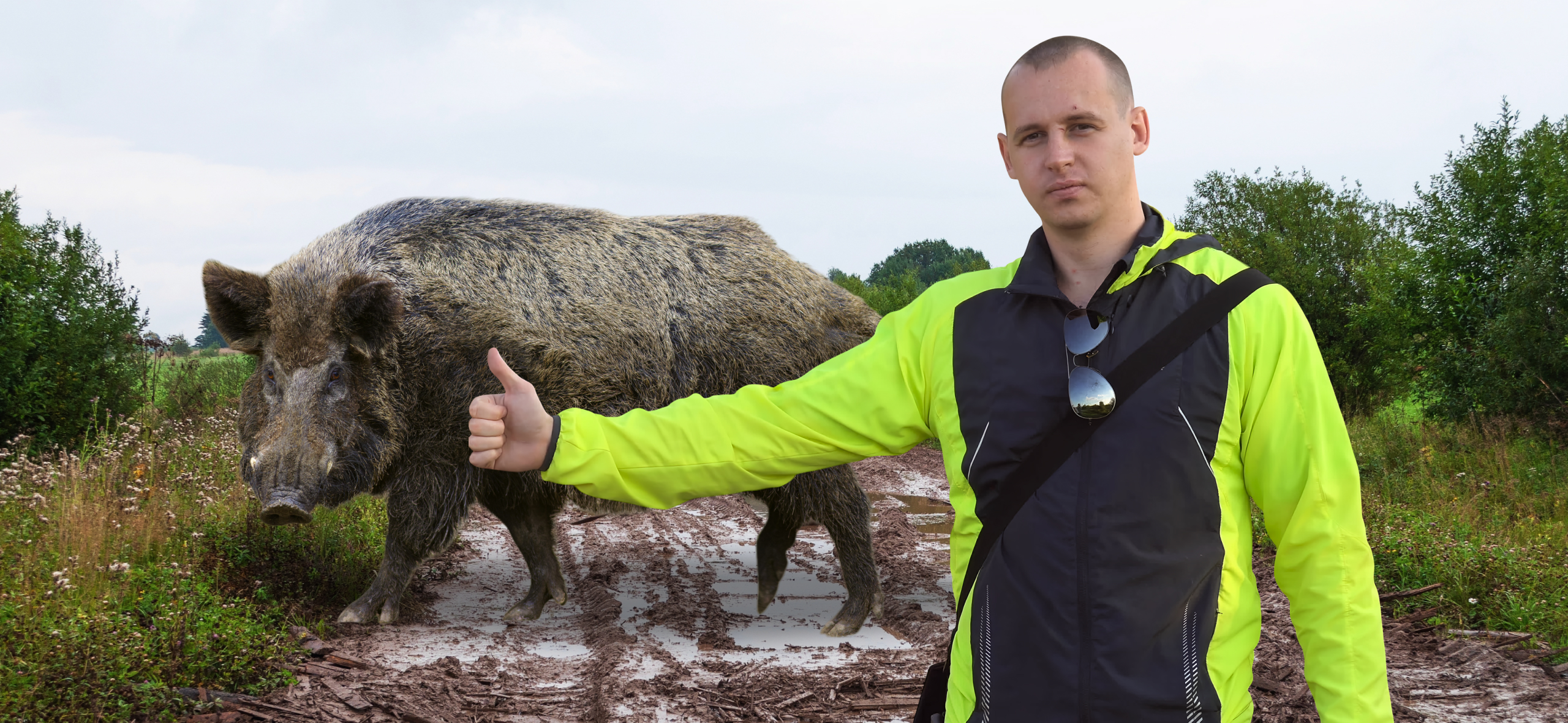 Как водитель взыскал с государства 635 000 ₽ ущерба из-за кабана на платной дороге