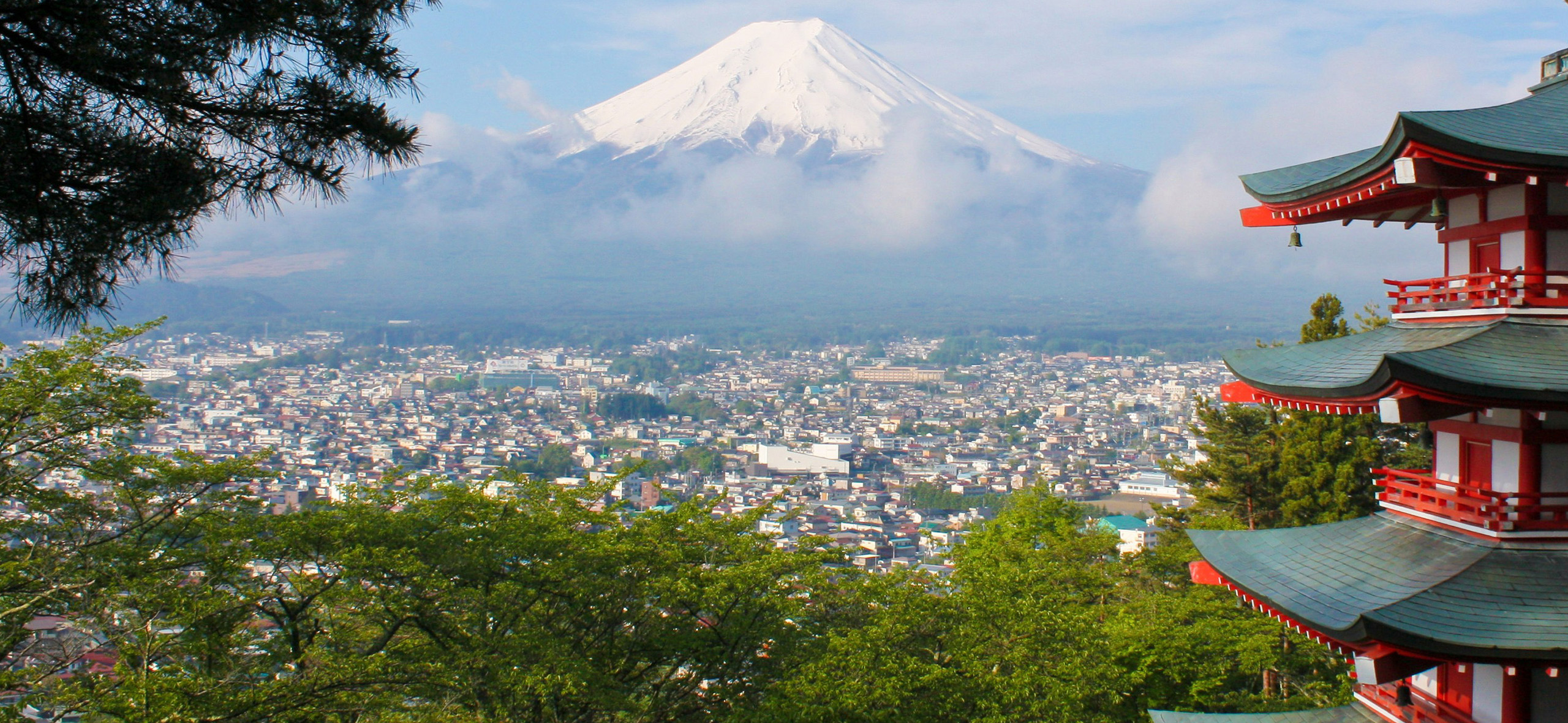 Как я 11 лет жила в Японии и США и почему вернулась в Россию