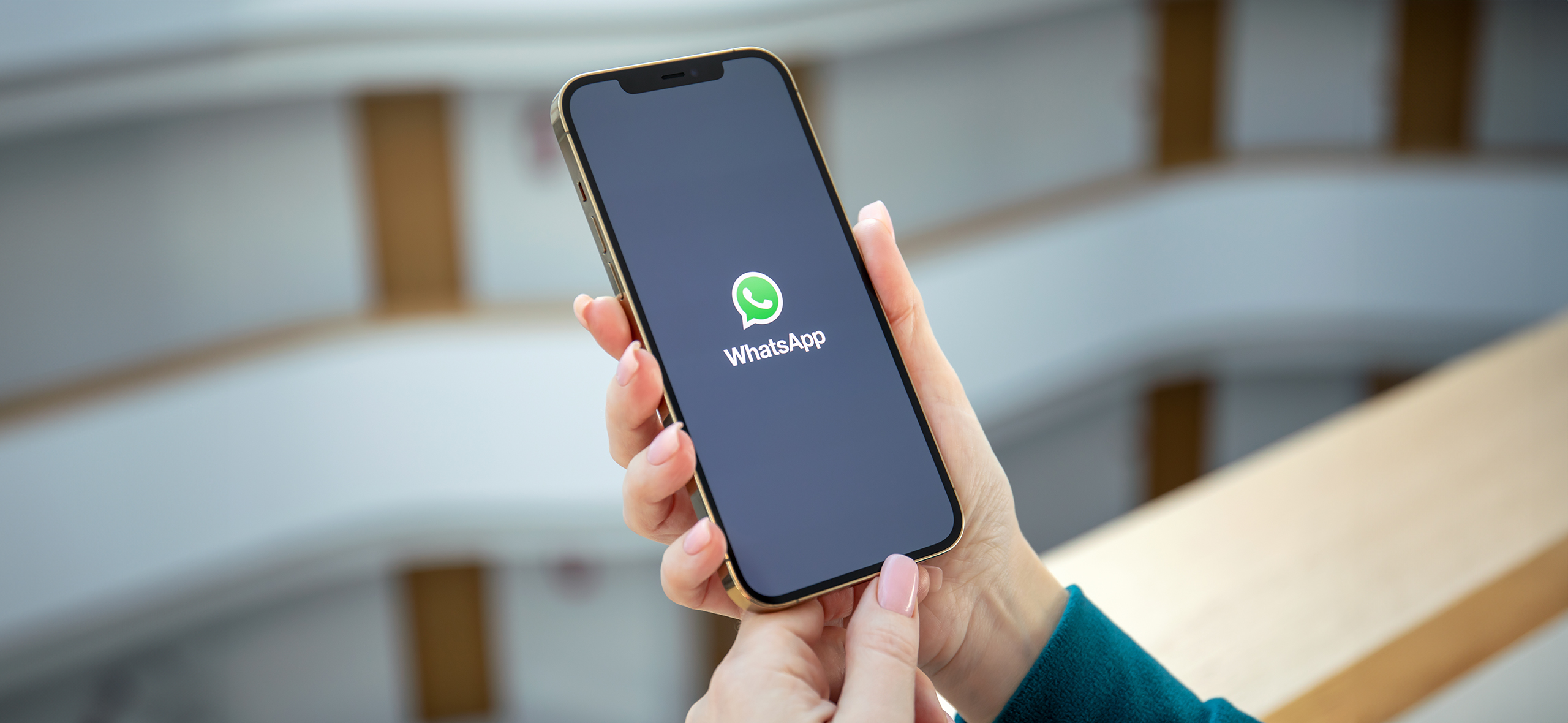 Как в Whatsapp отключить автосохранение фотографий в галерею iPhone и Android