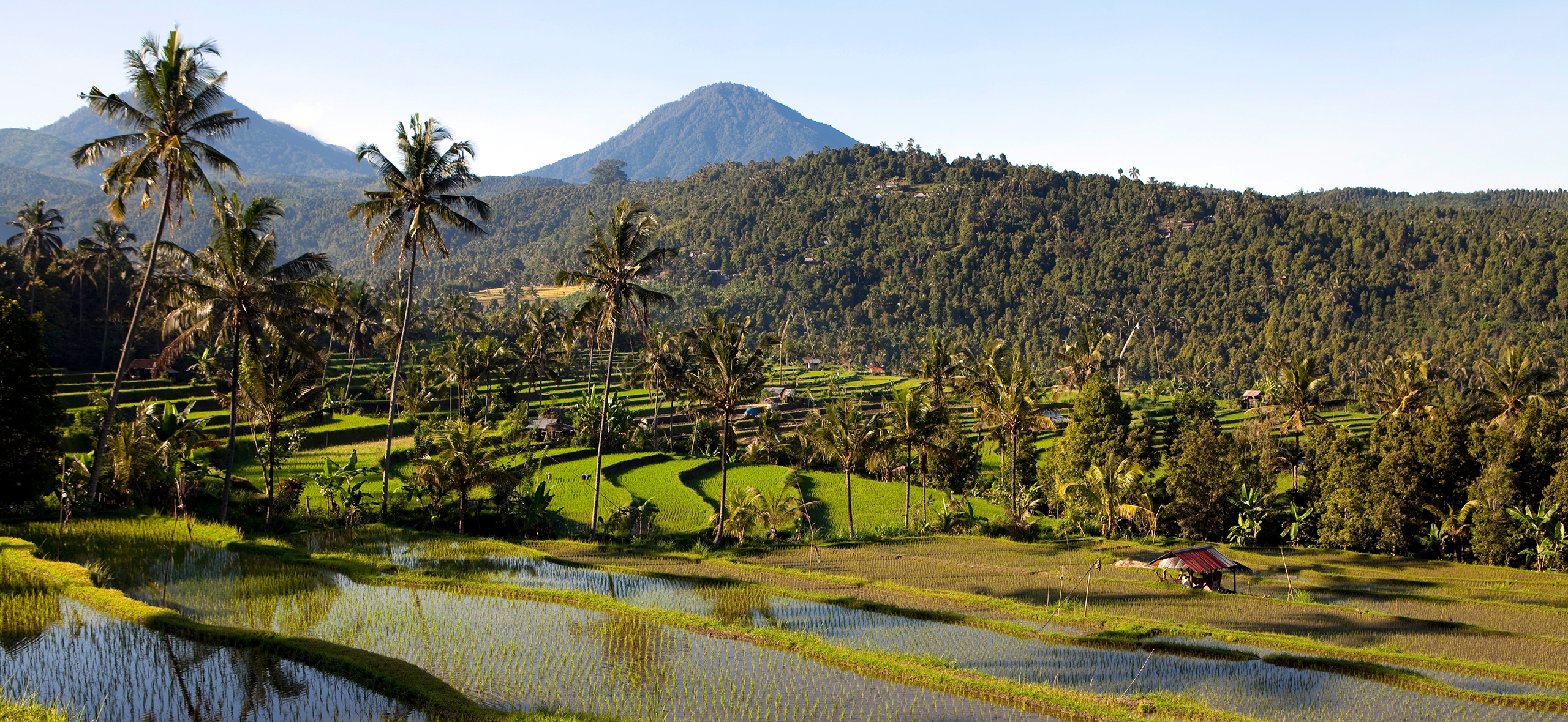 Как организовать отдых на Бали
