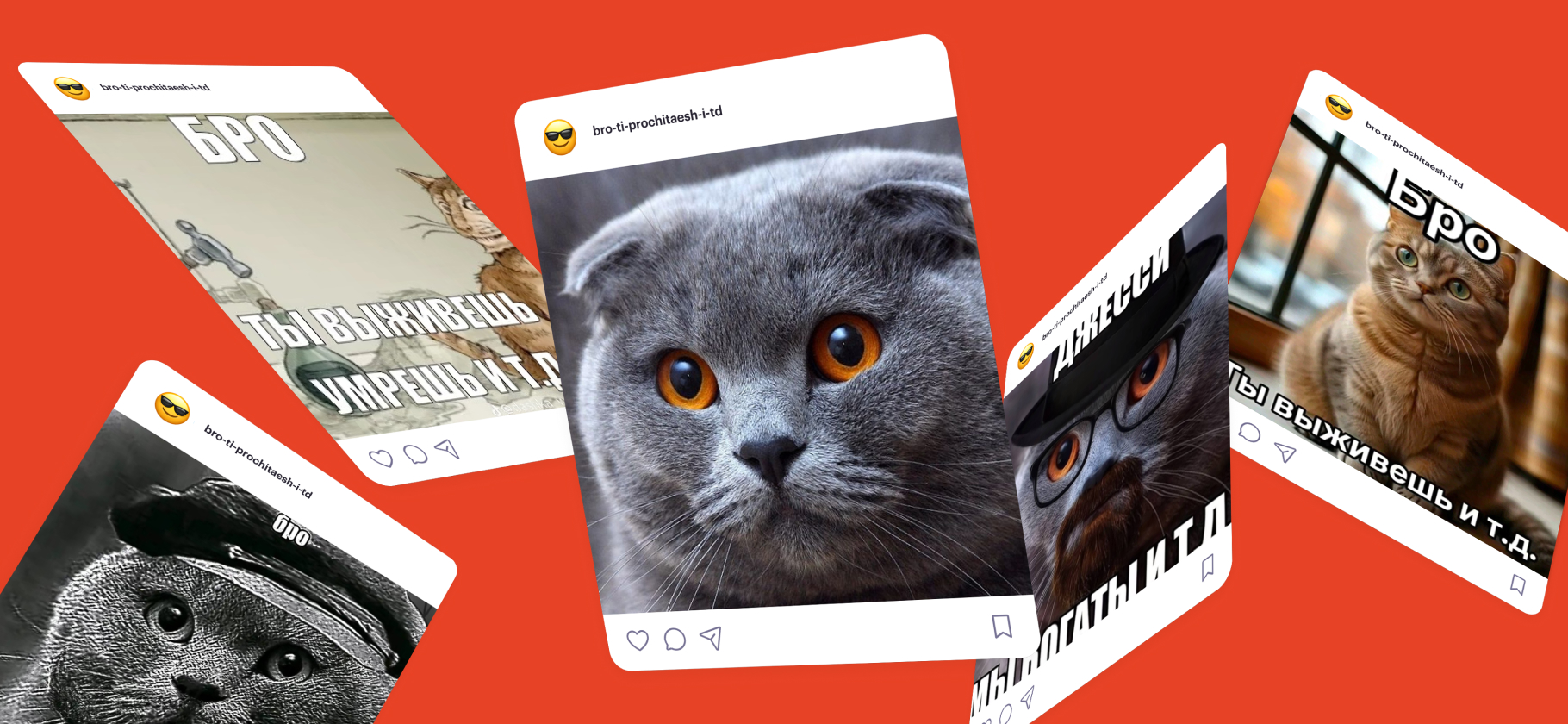 «Бро, ты умрешь и т. д.»: что за абсурд­ный мем с серым котом