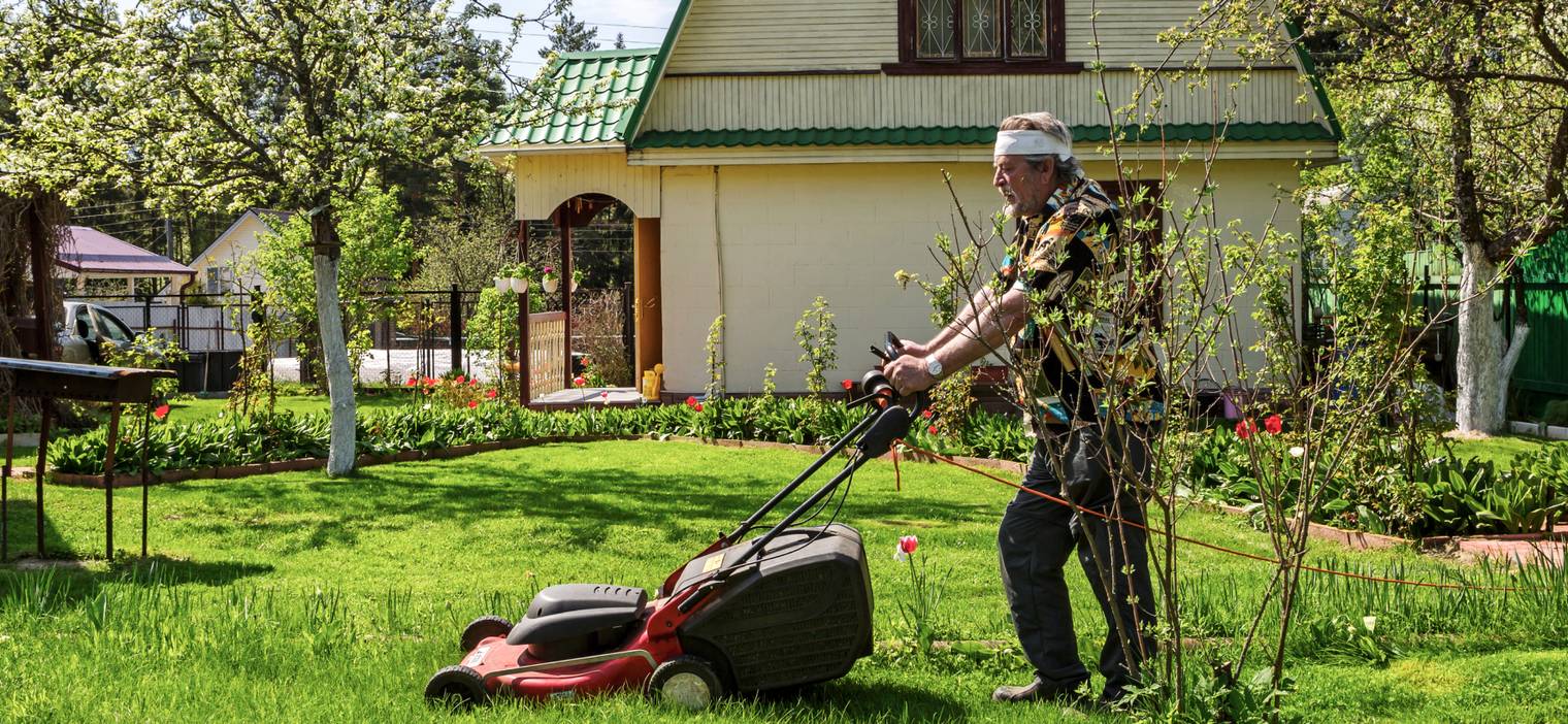 Что нужно знать, если хочешь купить дачу