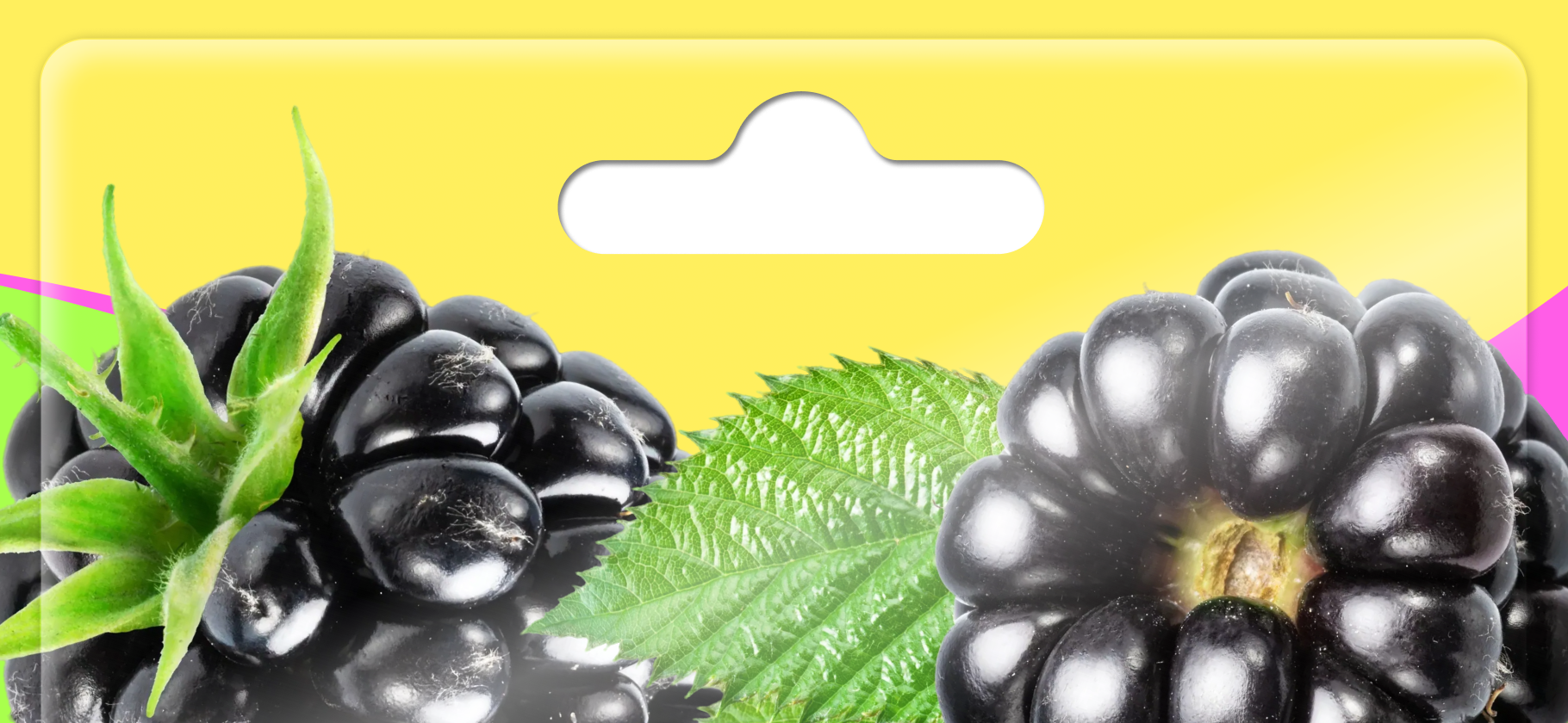Как вырастить вкусную и крупную ежевику