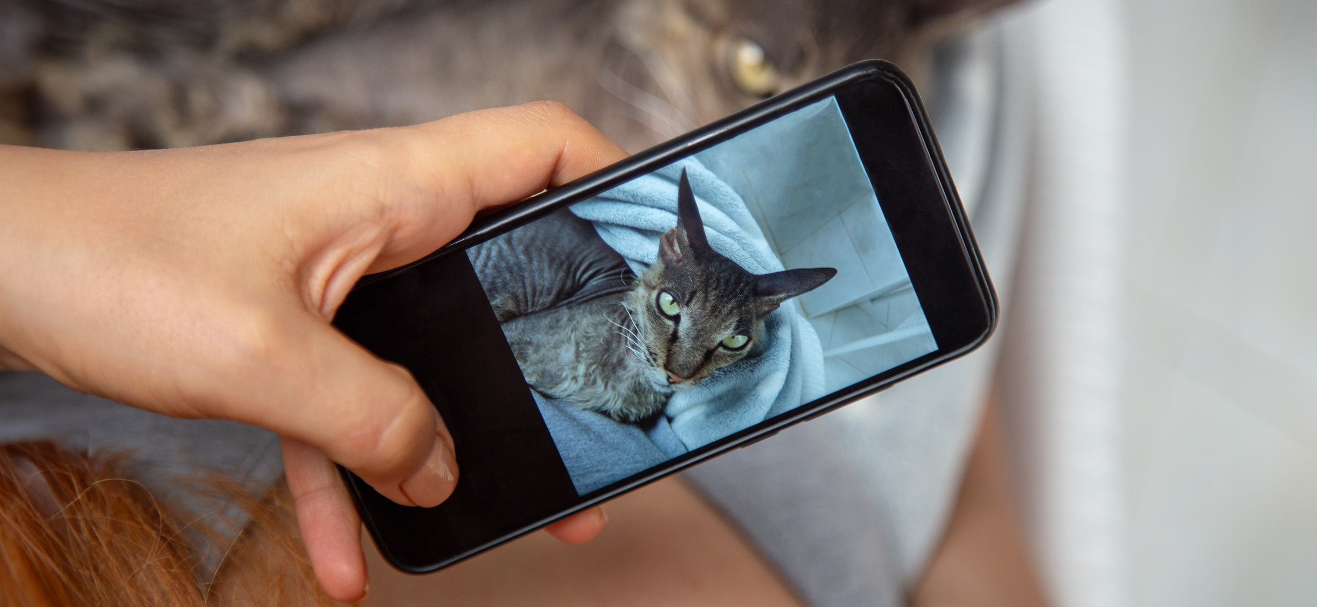 Как восстановить удаленные фото и видео на Андроиде