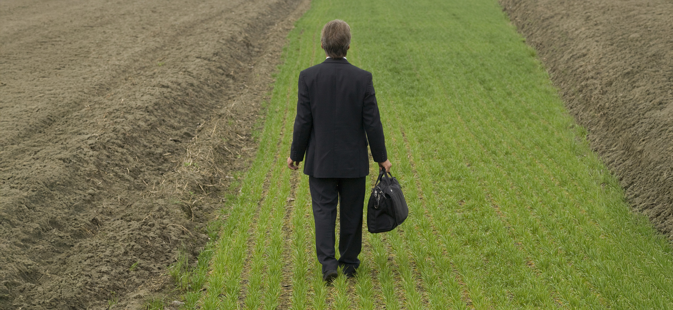 Что такое валовая прибыль и как она вскрывает слабые места бизнеса