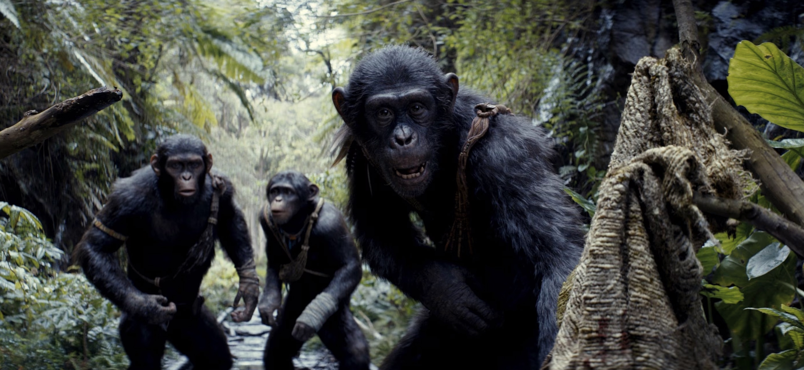 «Планета обезьян: Новое царство»: стоит ли смотреть драму о разумных приматах и одичавших людях