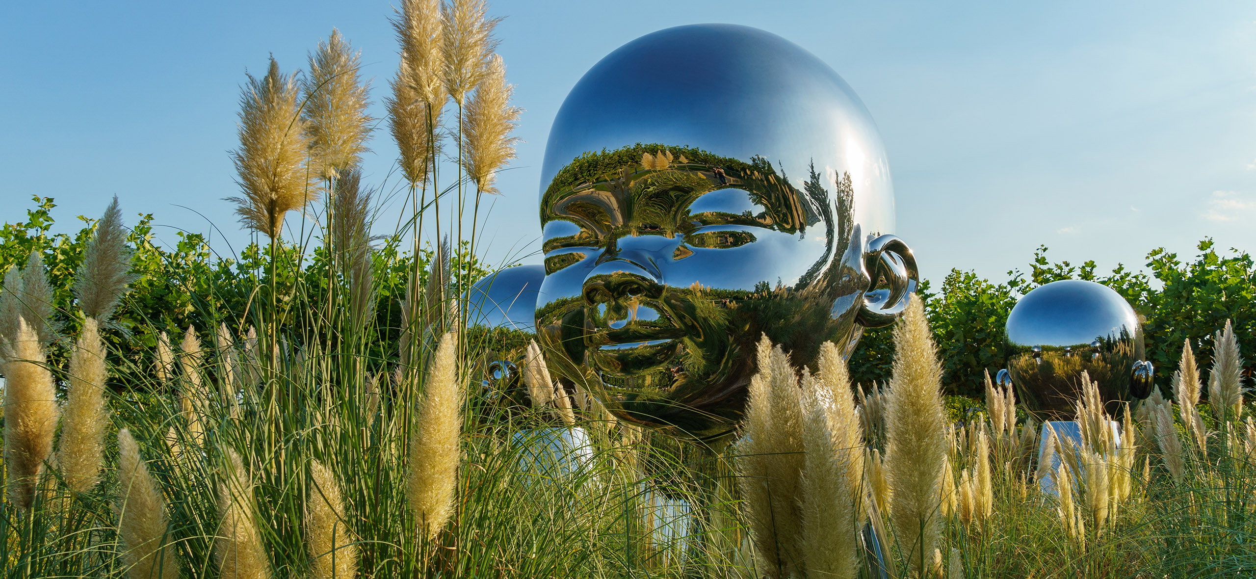 День города Красно­дара в 2025 году: что нужно знать