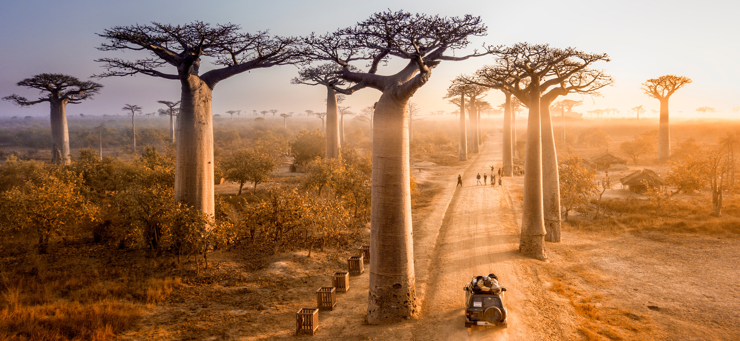Как организовать потрясающее путешествие по Мадагаскару