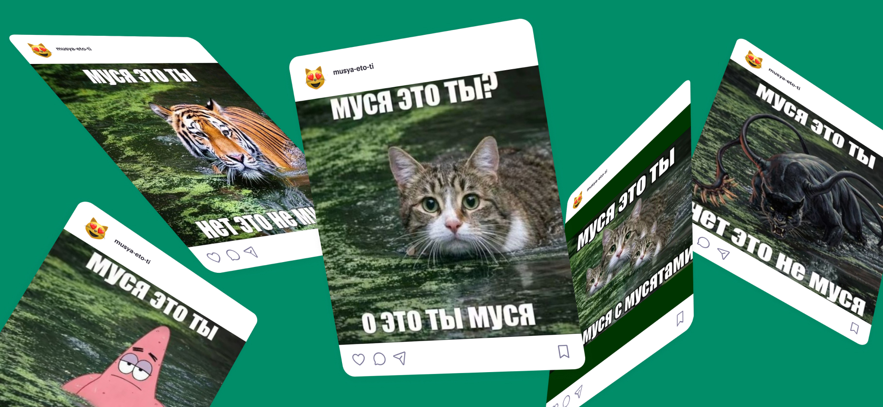 «Муся, это ты?»: что за мем про кошек в болоте