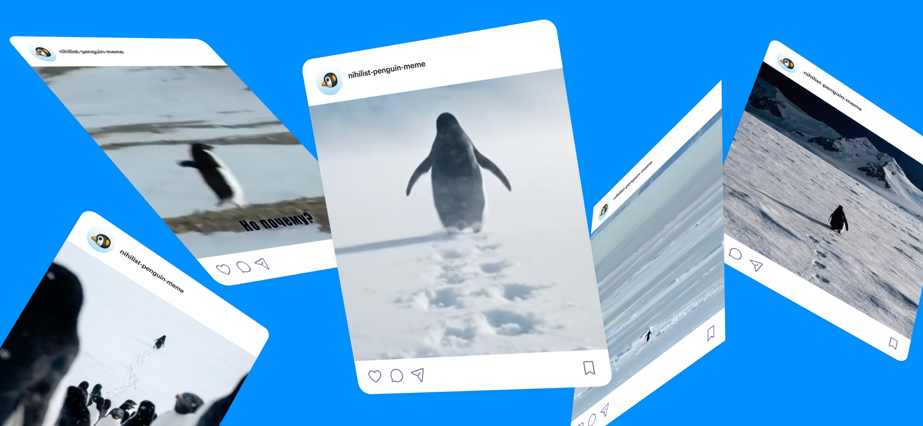 «Но почему?»: откуда взялись мемы с одиноким пингви­ном-нигилистом, который идет к горе