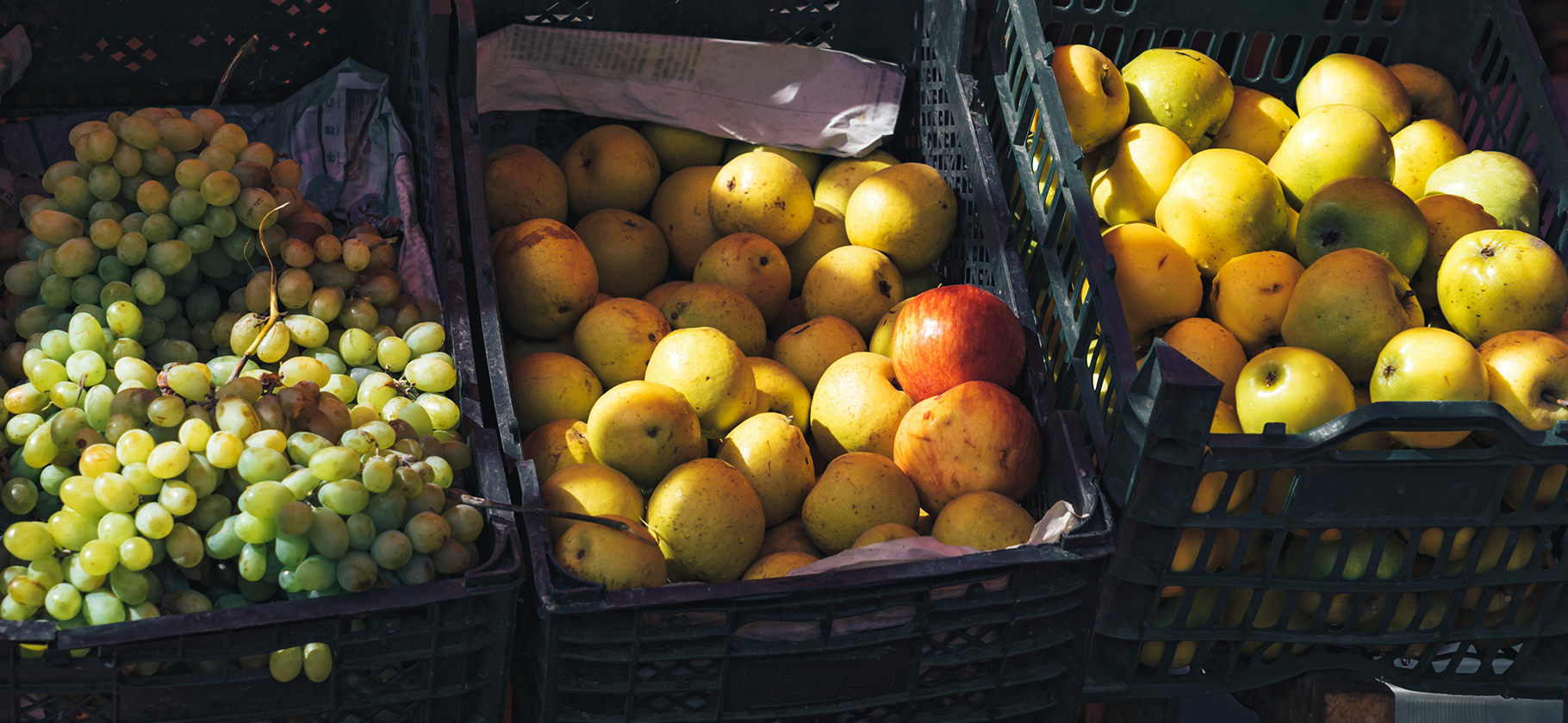 9 супермаркетов, где пенсионерам делают скидки на продукты